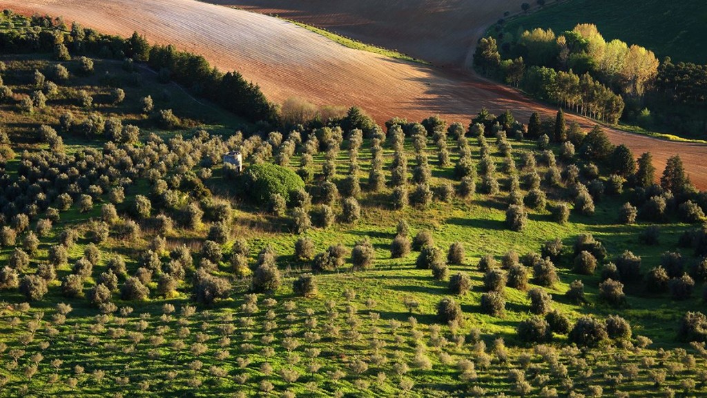investment_portugal_culture_nature